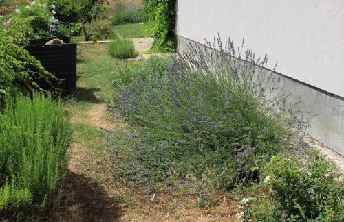 Apartments by the sea Kraj - Pasman - 8247 - Photo 10