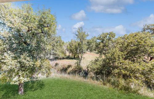 Luxury Hill Country Home in Horseshoe Bay Near Lake LBJ & Golfing with Game Room - Photo 30