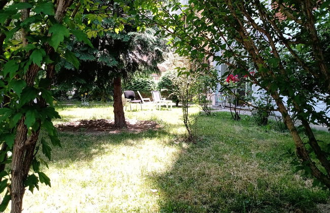 Near Lake, With View, Center - Photo 13