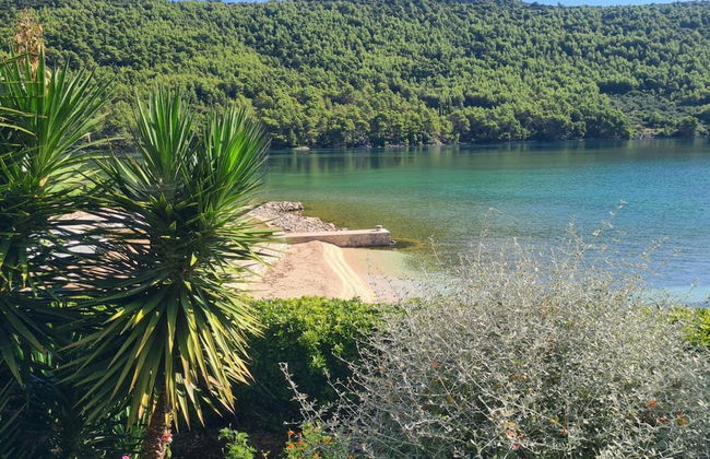 Apartment Ana Broce - Foto 27