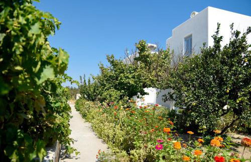 Flora & Agelos Studios - Paros - Foto 4