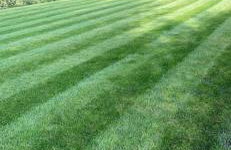 Woodland lodge green room - Foto 17