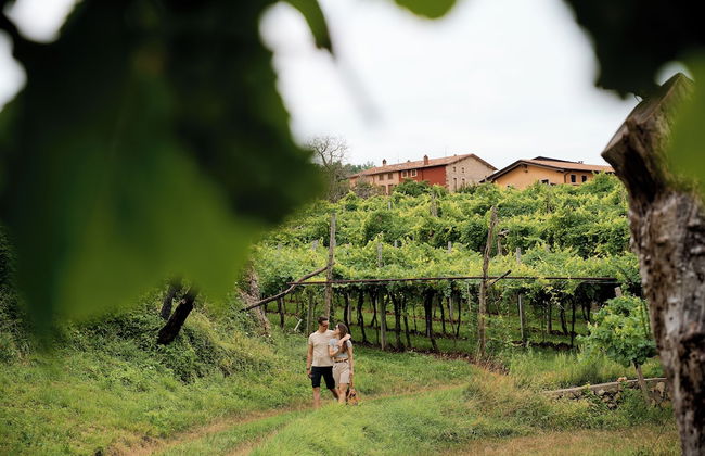 Le Bignele - Alloggio Agrituristico - Foto 32