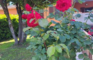 La Villetta dei nonni - Foto 15