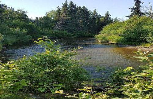 Alaskan WolfDen Close to airport centrally located - Photo 17