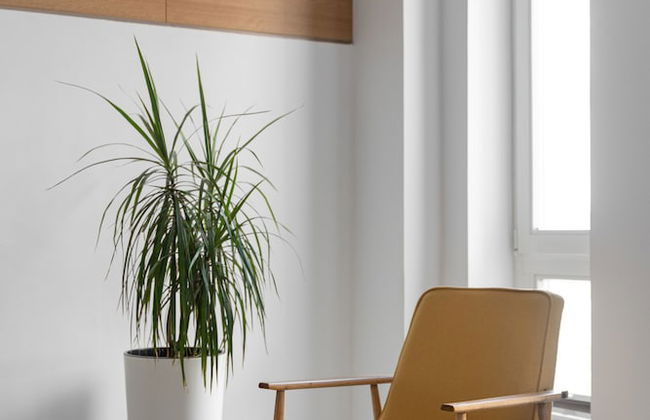 Aparthotel 1899 by Platinum - Foto 71