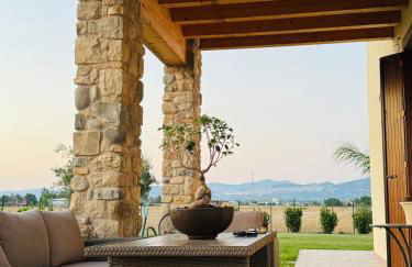 PalmHouse Cristian - Foto 9