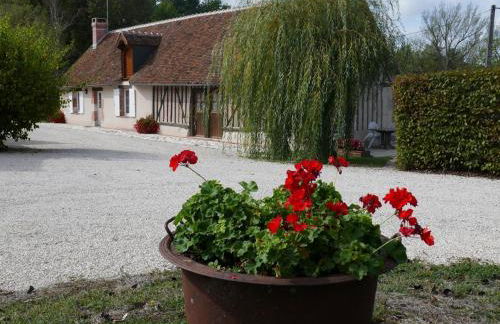 Gîte champêtre pour 5 pers avec terrasse près des châteaux, animaux admis - FR-1-491-345 - Foto 1
