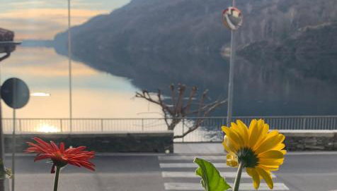 COSY LITTLE HOME - Foto 2