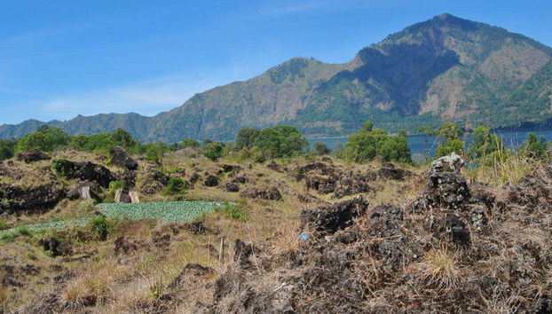 Randonnée sur le mont Batur au lever du soleil - Photo 4