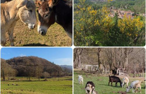 Duno Country Cottage - Photo 78