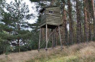 Leśne Zacisze domki letniskowe - Foto 35