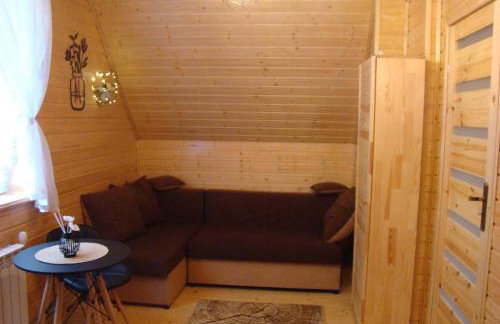 Bieszczadzki Amor - domek z jacuzzi - Foto 36