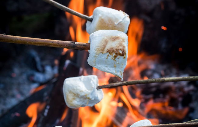 Peppermint Brook Cottages - Foto 12