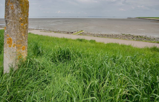 Holiday Home in Kattendijke Near National Park - Foto 27