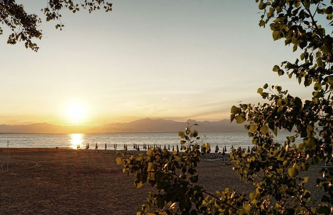 Residence Afrodite - Foto 21