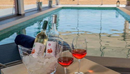 Fontes Bárbaras Enoturismo - Foto 4