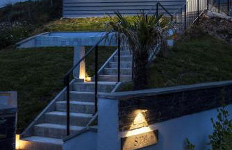 Turnstone - Photo 43