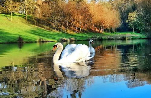 L'Orangerie - Foto 1