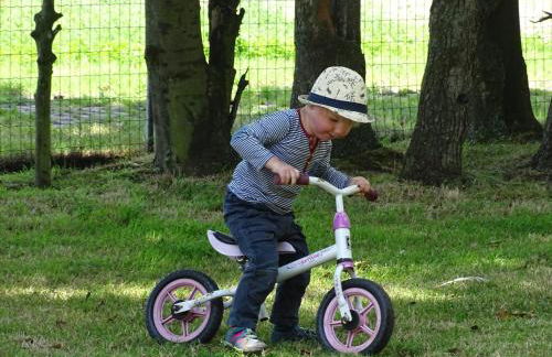 Wohlfühlurlaub auf dem Reit- und Ferienhof Goldberg - Foto 66