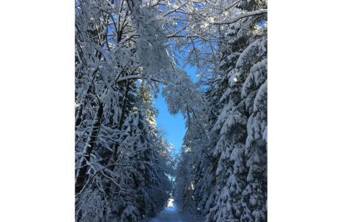 Haus Jorg Sosna Modern Retreat - Foto 29