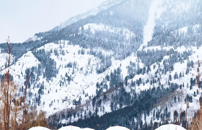 Tammah Jackson Hole - Foto 46