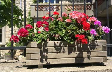 Location chaleureuse à Orgnac-l'Aven avec piscine partagée - Foto 30