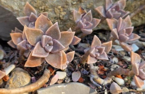 Vivenda Arcobaleno Portugal - Foto 43