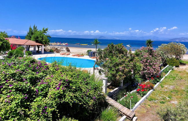 Ever Green Beach Apartments - Photo 16