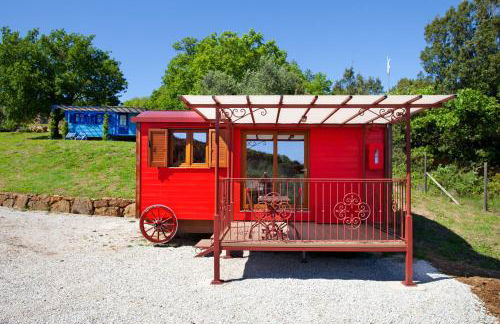 Poggio Diavolino - Suvereto - Foto 52