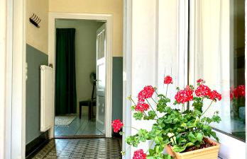 Löwenherz Appartements - Foto 67