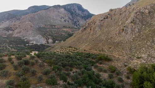 F & A Family Home - Foto 2