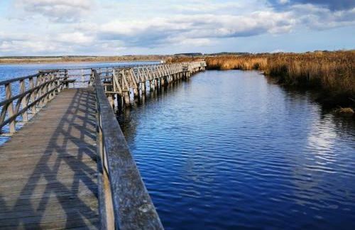 FeWo Wellfit - Foto 17