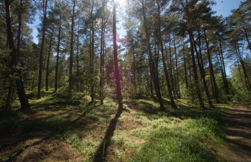 M&K Apartamenty Przystań Świbno - Photo 63