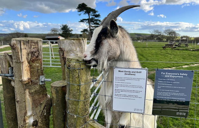 Old Byre Little Upton Farm - Foto 23