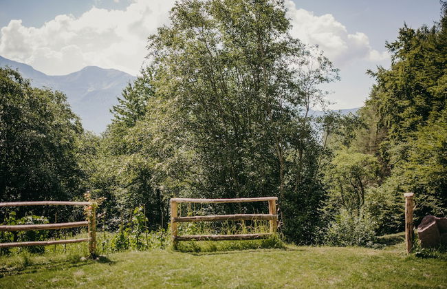 Maso nel bosco - Photo 43