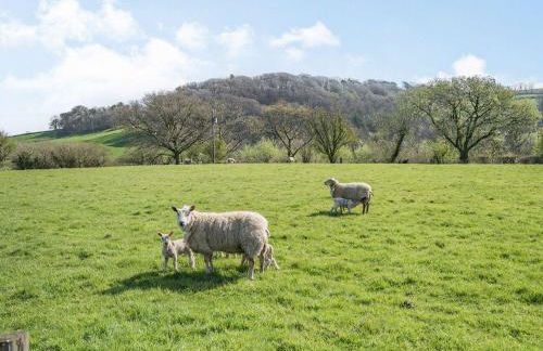 Pant Y Cwtsh - Foto 23