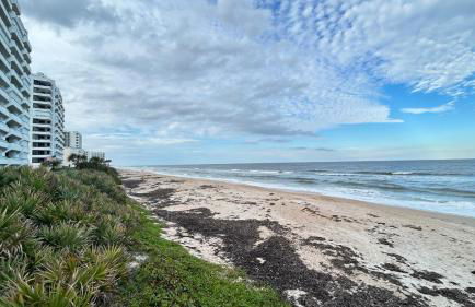 Seashell Escape - Foto 57