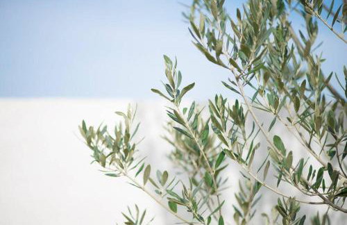 CASA CUORE Modern stay near the sea - Foto 11