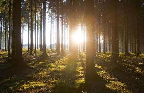 Holiday home in Ramsbeck with garden - Foto 38