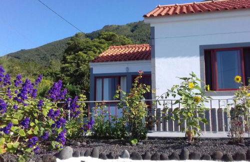 Sunflower Guest House - Madalena - Pico - Photo 10
