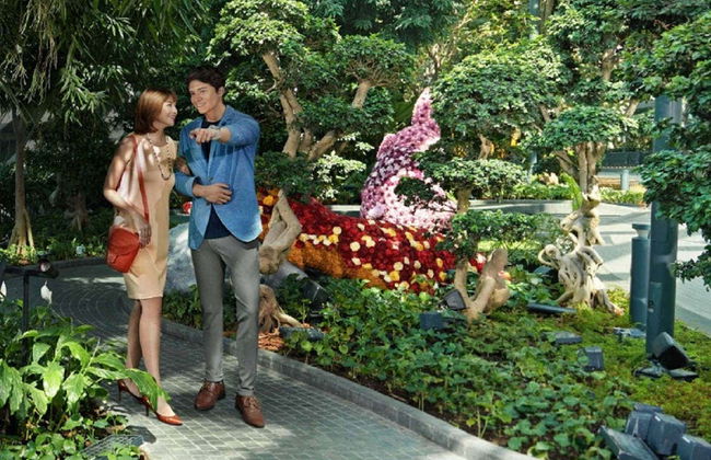 Entrada al Canopy Park del aeropuerto de Singapur - Foto 4