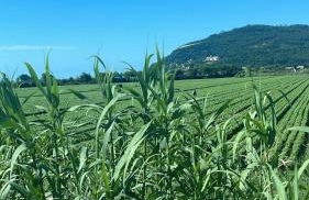 La Casa nel parco - Foto 22