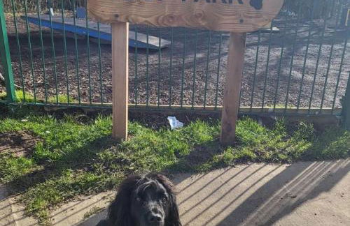 Coastal Retreat at Cayton Bay - Foto 4