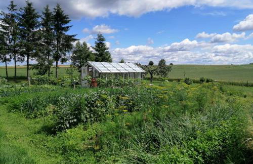 Apartament w Oklinach - Foto 24