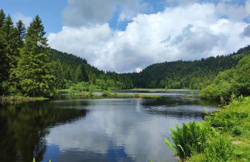 Notre Renardière, Gîtes à Saulxures-sur-Moselotte, Hautes-Vosges - Foto 66