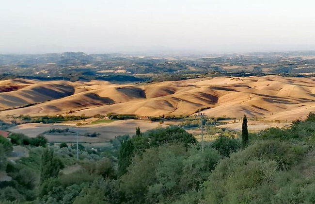 Tuscany Family Country Home - Photo 39
