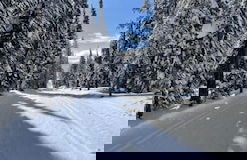 Travellers Rest Cabins and RV Park - Photo 47