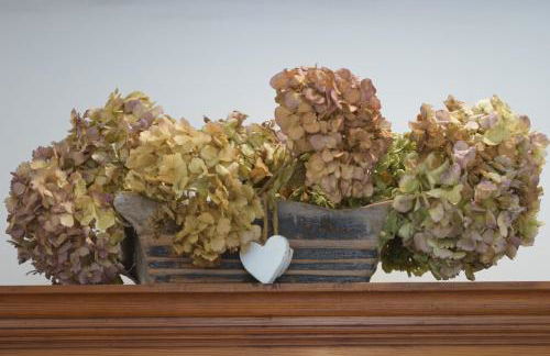 Anikuenea landa apartamentuak - Foto 21