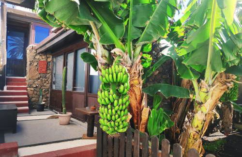 Finca Lucía - Los Hervideros - Foto 20